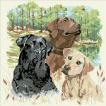 (image for) Man’s Best Friend